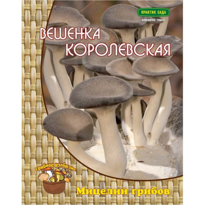 Мицелий Агрохолдинг ПОИСК Вешенка Королевская 4601887152170