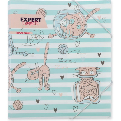 Папка Expert Complete 647673