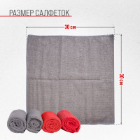 Салфетка SKYWAY набор микрофибра 30х30 см, прямоугольники, 4 шт. S00902004