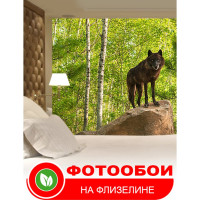 Фотообои Студия фотообоев Волчица с волчонком, 400x270 см, 4 полотна 1408590