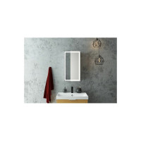 Зеркало-шкаф с подсветкой Art&Max TECHNO AM-Tec-350-650-1D-L-DS-F