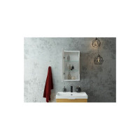 Зеркало-шкаф с подсветкой Art&Max TECHNO AM-Tec-350-650-1D-L-DS-F