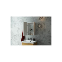 Зеркало-шкаф с подсветкой Art&Max TECHNO AM-Tec-350-650-1D-L-DS-F
