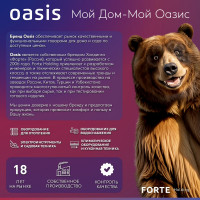 Газовый проточный водонагреватель Oasis OR - 26W