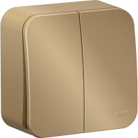 2-клавишный выключатель Systeme Electric BLANCA, открытой установки, 10А, 250B, ТИТАН BLNVA105014