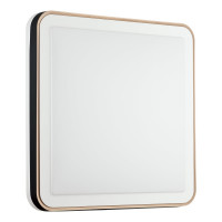 Настенно-потолочный светильник СОНЕКС LED 48W AKUNA 7621_DL