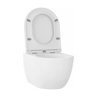 Безободковый подвесной унитаз Wellsee Chalice Perfection 182608001