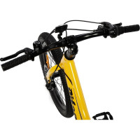 Велосипед PIFAGOR Axiom 20 желтый PR20AXYL