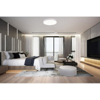 Накладной светильник ST luce ST606.542.96