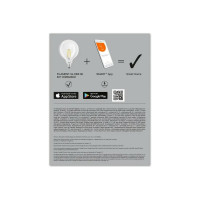 Умная WiFi лампа LEDVANCE SMART+ Filament Globe Dimmable 60 5,5W E27 4058075528291