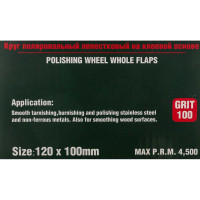 Насадка шлифовальная 120x100 мм Rockforce RF-FD4100W(49612)