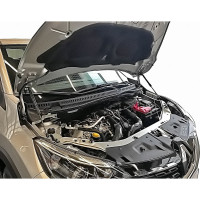 Упоры капота для RENAULT Kaptur, 2020-, 2 шт ARBORI HD.034102