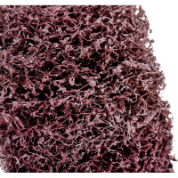 Круг лепестковый нетканый на оправке 50x30x6 мм, coarse Totflex 4631165599830