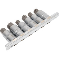 Набор головок-бит разнопрофильных Spline-Torx-Hex на планке (6 шт; 1/2") Forsage F-40920(46634)