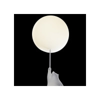 Накладной светильник LOFT IT Teddy 10030M