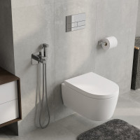 Смеситель с гигиеническим душем WasserKraft Нааб (Naab) 8638