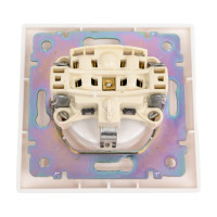 Розетка Legrand с заземлением Legrand Valena с лицевой панелью и рамкой в сборе 16А 250В винтовые зажимы белый 774423