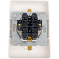 Розетка Legrand Cariva 2х2К+3 немецкий стандарт 16 А 250 В~ белый 773627