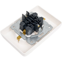 Розетка Legrand Cariva 2х2К+3 немецкий стандарт 16 А 250 В~ белый 773627