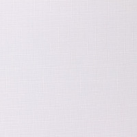 Рулонная штора PRAKTO Shantung 140х175см белый 7792294