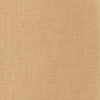 Рулонная штора PRAKTO Shantung 40х160см бежевый 7792898
