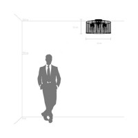 Потолочная люстра Lightstar 798281