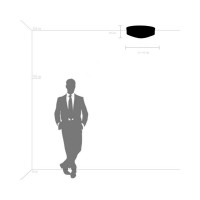 Потолочная люстра Lightstar 720222