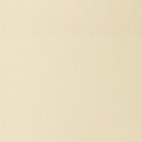 Рулонная штора PRAKTO Shantung 200х175см песочный 7792461