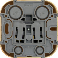Розетка Legrand без заземления Legrand Quteo без шторок IP20 16А 250В винтовые зажимы накладной монтаж дерево 782270