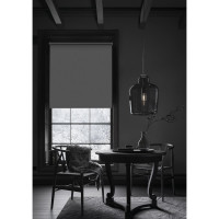 Рулонная штора PRAKTO BLACKOUT SILVER 75x250 см, серый МАХ 9403219746