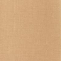 Рулонная штора PRAKTO SHANTUNG 95x160 см, бежевая 9403218661