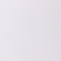 Рулонная штора PRAKTO SHANTUNG 65x165 см, белая 9403218004