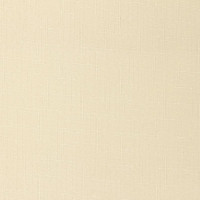 Рулонная штора PRAKTO SHANTUNG 55x250 см, песочная МАХ 9403218013