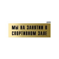 Информационная табличка GRM мы на занятии в спортивном зале прямоугольная д269 300x100 мм, 1 шт 218000115-269