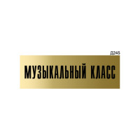 Информационная табличка GRM музыкальный класс прямоугольная д245 300x100 мм 1 шт 218000115-245