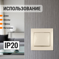1 клавишный выключатель TDM ELECTRIC 10А слоновая кость "Таймыр" SQ1814-0101