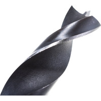 Сверло спиральное по дереву CV (20 мм; цилиндрический хвостовик) PROJAHN 19200