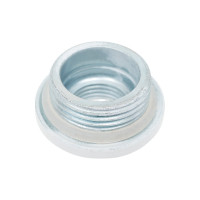 Пробка проходная для радиаторов (Ду 25 мм; левая) Ogint 017-2986