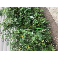 Промежуточная опора для малины НАЙДИ коричневая GM8014