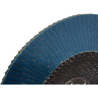 Круг лепестковый торцевой Forsage, 150х22мм 49656 F-FD6180H F-FD6180H(49656)