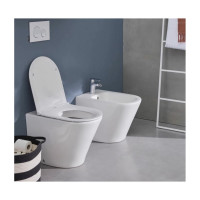 Приставной унитаз Jacob Delafon RODIN EDAA102-00 00000094346