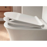 Сиденье из термодюропласта с микролифтом, легкое снятие Jacob Delafon 00000094012