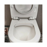 Сиденье из термодюропласта с микролифтом, легкое снятие Jacob Delafon 00000094012