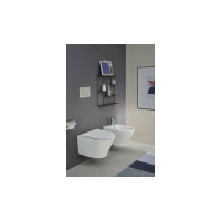 Подвесной унитаз Jacob Delafon Rodin+ 00268108 EDY102-00