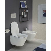 Подвесной унитаз Jacob Delafon Rodin+ 00268108 EDY102-00