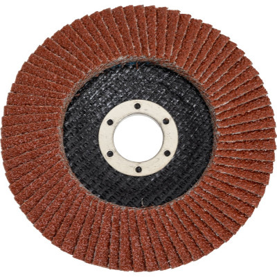 Диск лепестковый торцевой (125х22 мм; P40) ROCKFORCE RF-FD540M(29637)