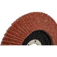 Диск лепестковый торцевой (125х22 мм; P40) ROCKFORCE RF-FD540M(29637)