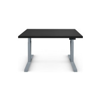 Стол двухмоторный с регулируемой высотой StolStoya ТИТАН подстолье серое и столешница МДФ эмаль SE221ISB12065