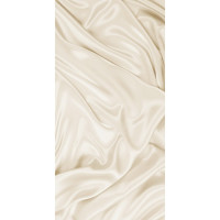 Плитка для стен Beryoza Ceramica Камелия бежевый, 250x500x8 мм, 11 шт. ТГ-00003953