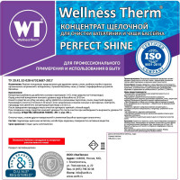 Концентрат Wellness therm PERFECT SHINE для очистки ватерлинии и чаши бассейна 1 л. 877147